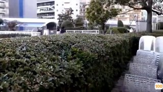 免费不卡黄片,美国人与人牲交-免费在线观看-日韩中文字幕